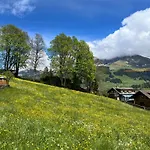 Zentrale, Gemuetliche Im Schweizer Stil I Bergblick Adelboden