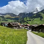 Apartment Zentrale, Gemuetliche Im Schweizer Stil I Bergblick *