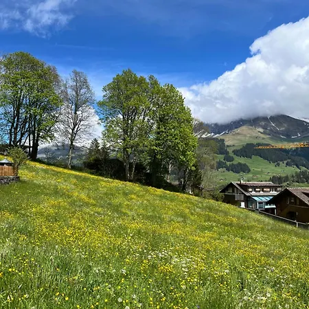 Zentrale, Gemuetliche Im Schweizer Stil I Bergblick アデルボーデン
