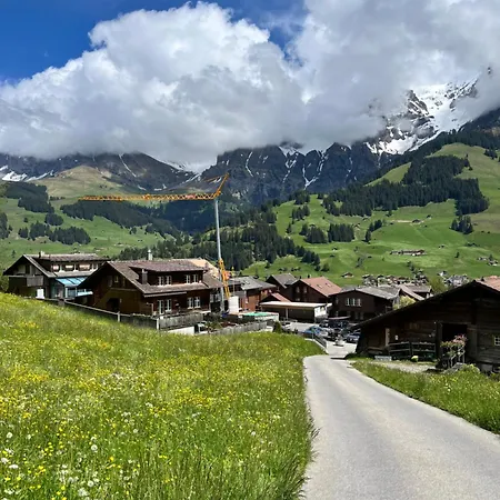 Apartament Zentrale, Gemuetliche Im Schweizer Stil I Bergblick *