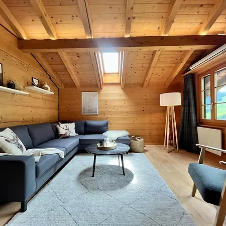 公寓 Zentrale, Gemuetliche Im Schweizer Stil I Bergblick 阿德尔博登