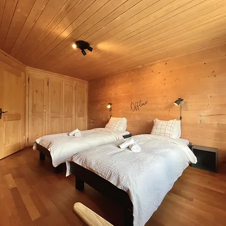 Apartment Zentrale, Gemuetliche Im Schweizer Stil I Bergblick *