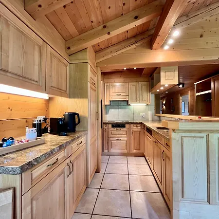 Zentrale, Gemuetliche Im Schweizer Stil I Bergblick Appartement Adelboden