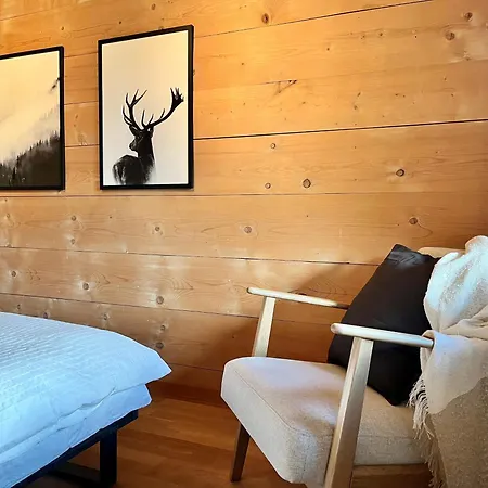 Apartment Zentrale, Gemuetliche Im Schweizer Stil I Bergblick *