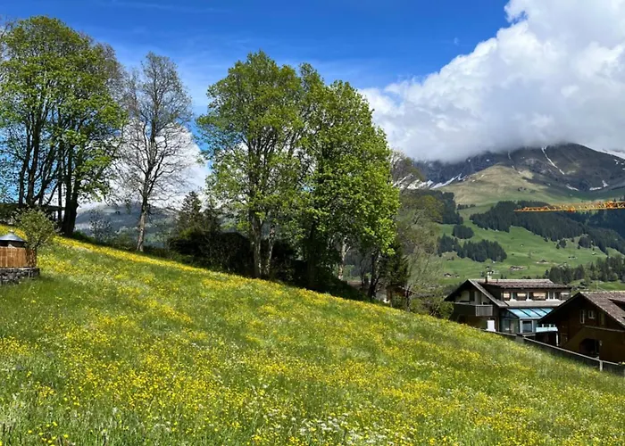 Zentrale, Gemuetliche Im Schweizer Stil I Bergblick ادلبودن