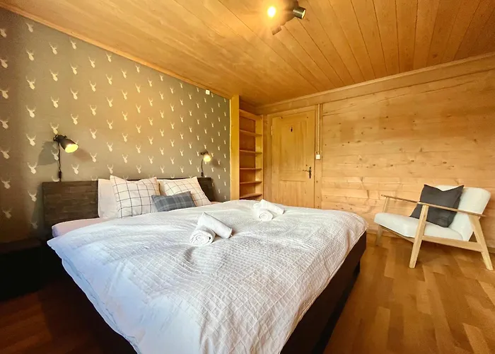 Zentrale, Gemütliche Im Schweizer Stil I Bergblick Apartment Adelboden