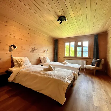 Zentrale, Gemuetliche Im Schweizer Stil I Bergblick *